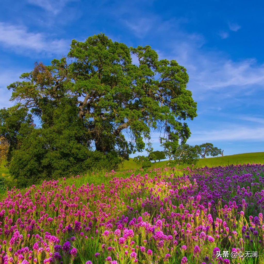愿天下无“癌”：鼻咽癌患者，拒绝吃肉家人反对，半年后病毒清零
