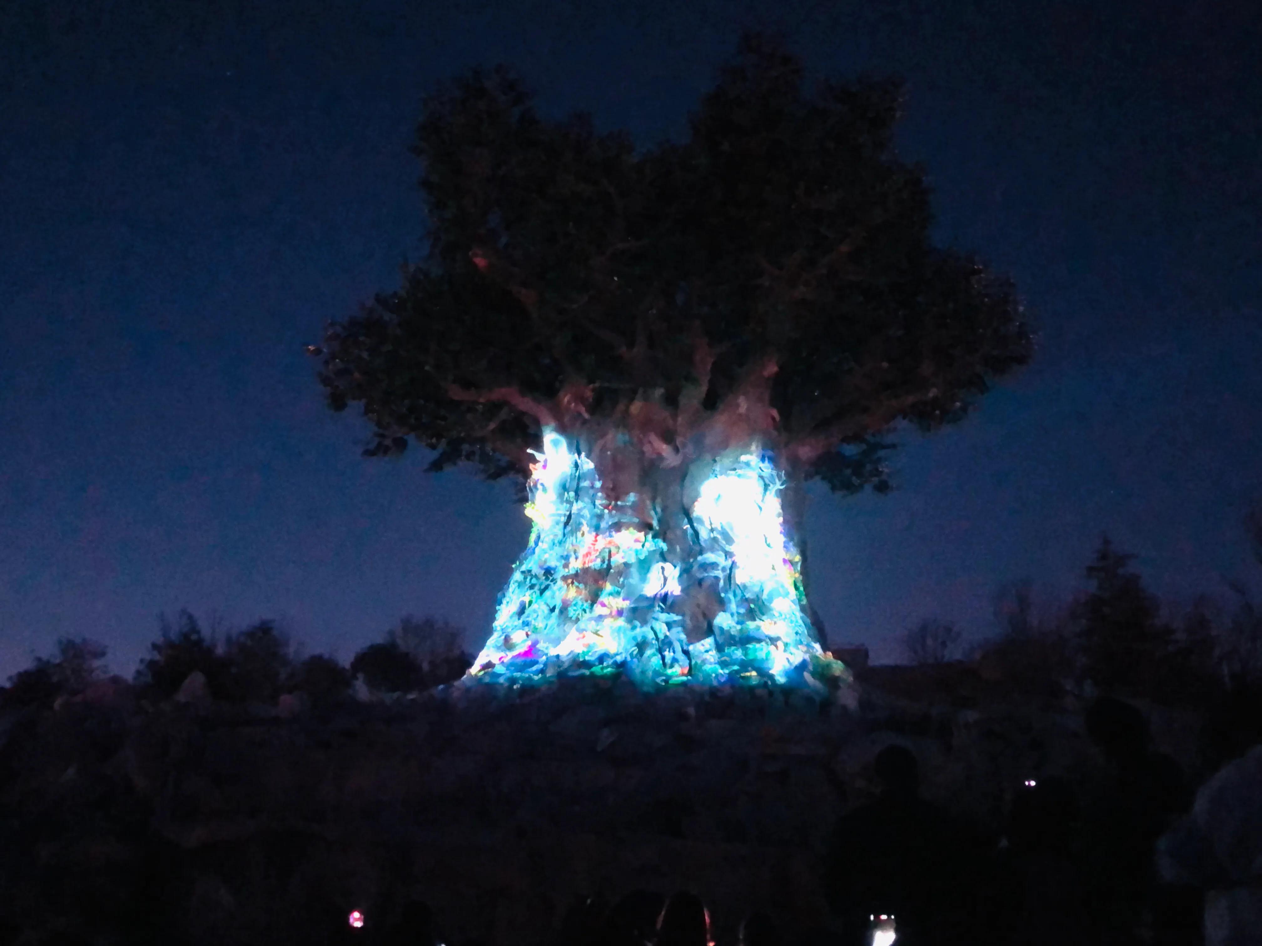 银基动物王国最强游玩攻略,银基动物王国游玩最详细攻略