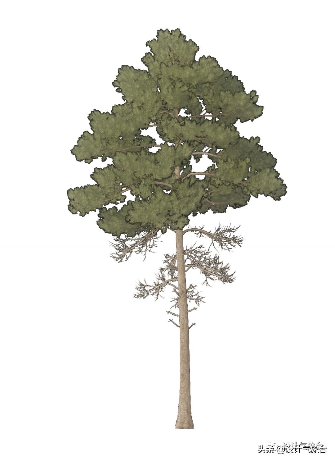 惜败扎哈事务所，但OMA的中国风方案留下一抹惊艳的色彩