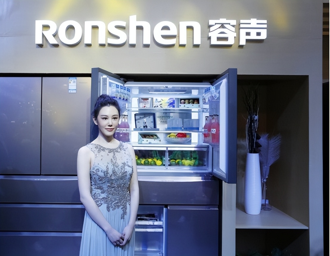 2019年中国电冰箱销量排行榜,tcl冰箱销量排行榜