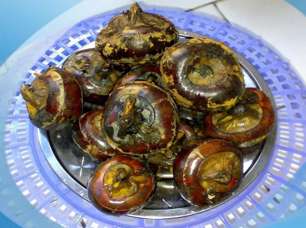 荸荠兄弟,荸荠怎么快速扒皮