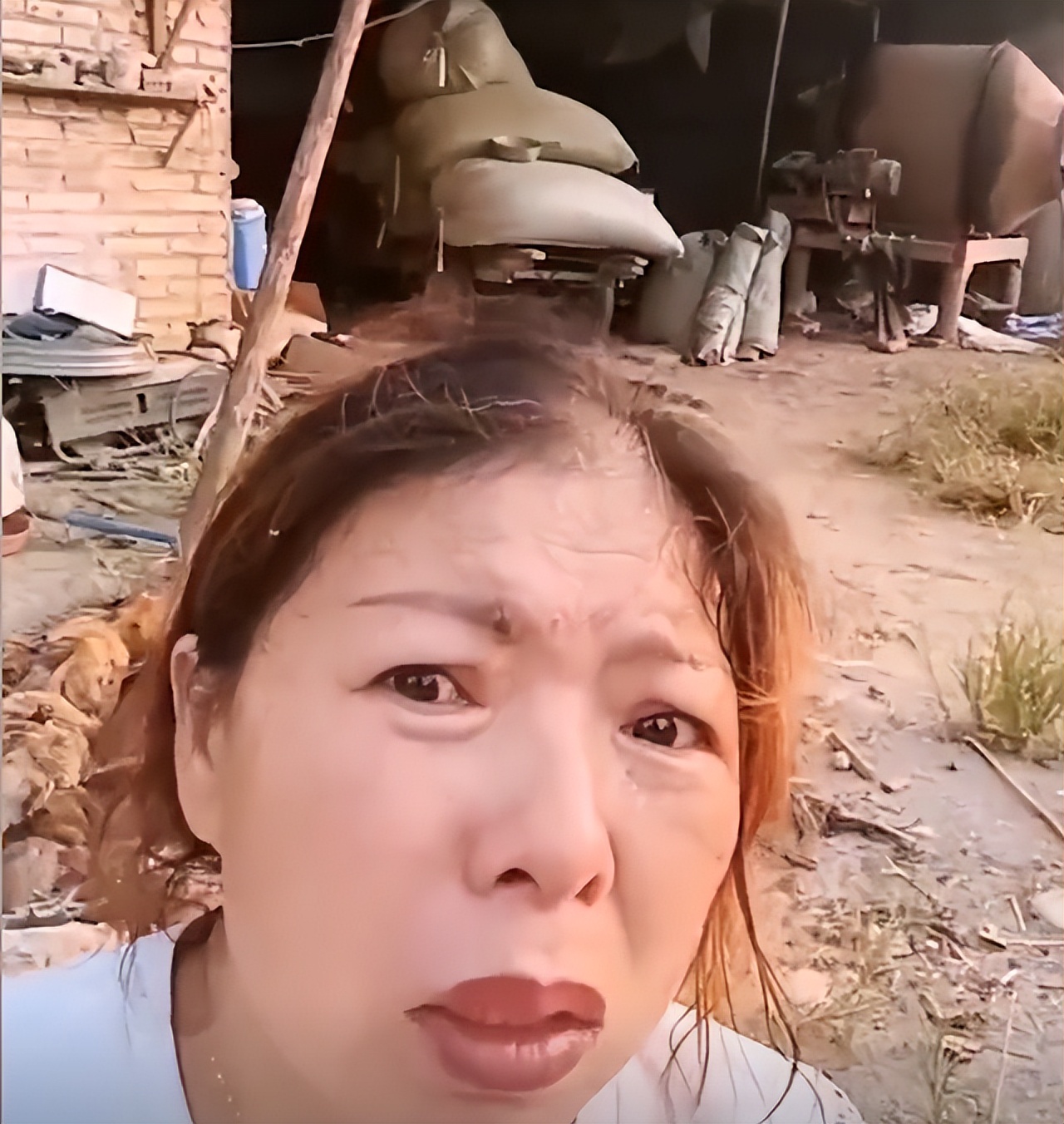 高温停电养殖户鸡被热死视频,高温养鸡场死鸡现场