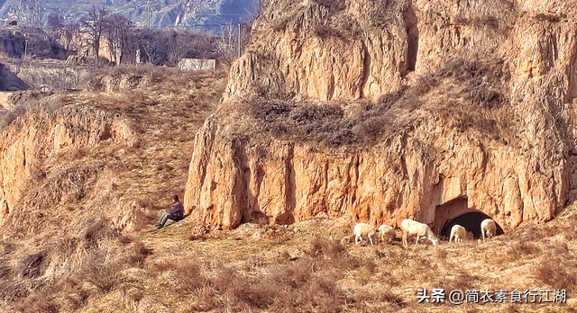 她做保姆这些年－豪门生活之无处安身（684）