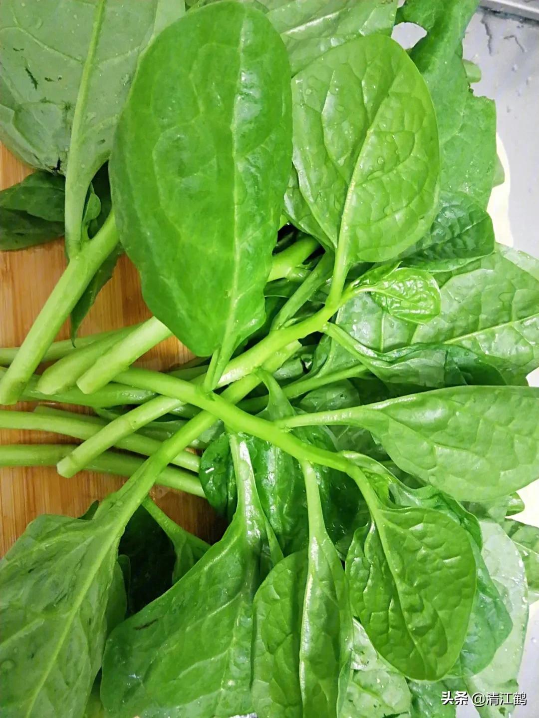 木耳菜的种子怎么脱毒,木耳菜是怎样催芽的