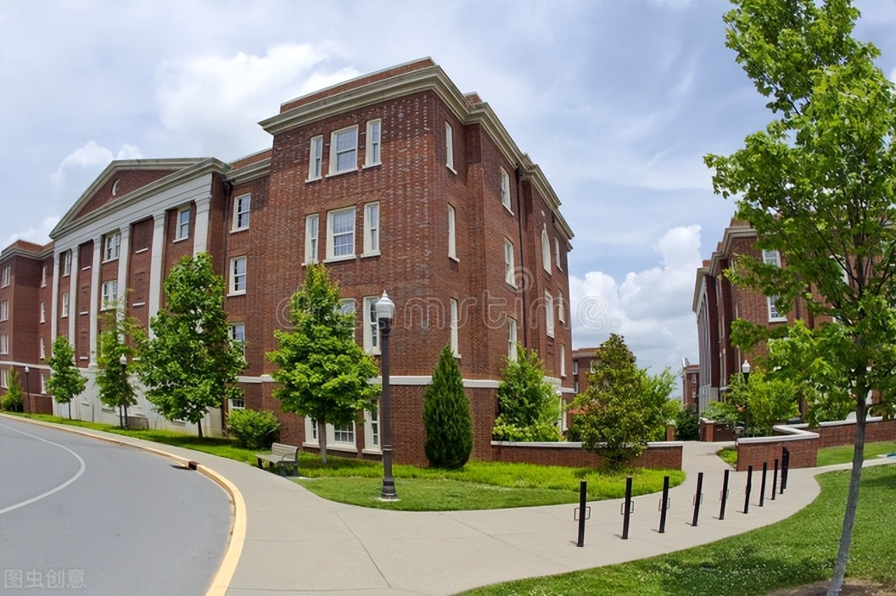 成人本科学历有必要去读吗,成人学历有没有必要上本科