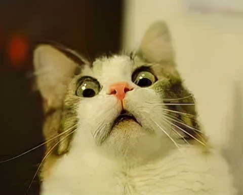 舒缓更年期睡眠盗汗,盗汗失眠是更年期症状吗