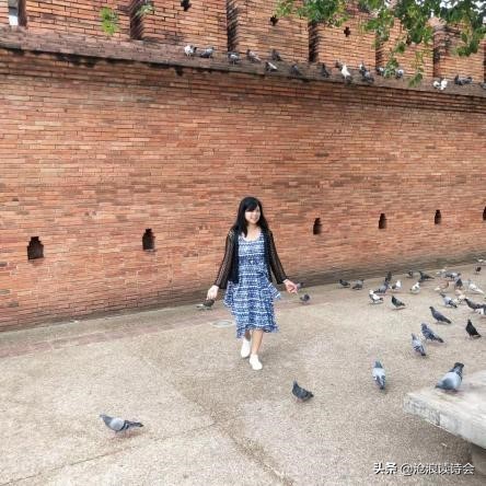 新年的励志古诗词,新年励志古诗词经典名句