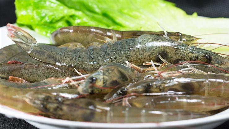 白灼虾的正确做法不用水,白灼虾正确做法不用水煮