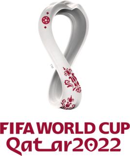 每一届世界杯梅西,2022世界杯c罗梅西最后一届