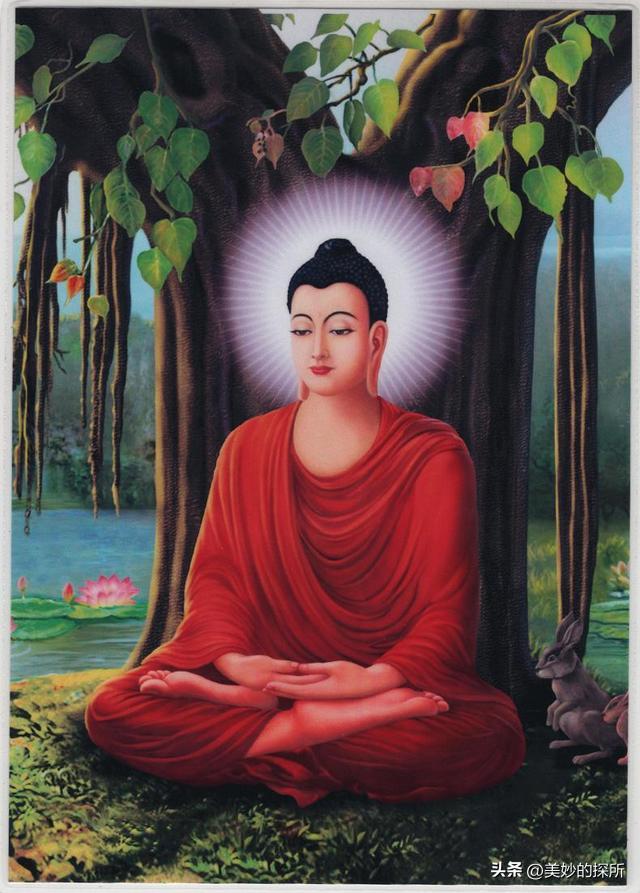 天主教和佛教基督教区别 (浅谈佛教天主教与基督教的区别)