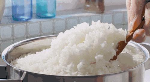 不吃淀粉和糖类食物可以减肥吗,减肥不吃淀粉和糖吃什么