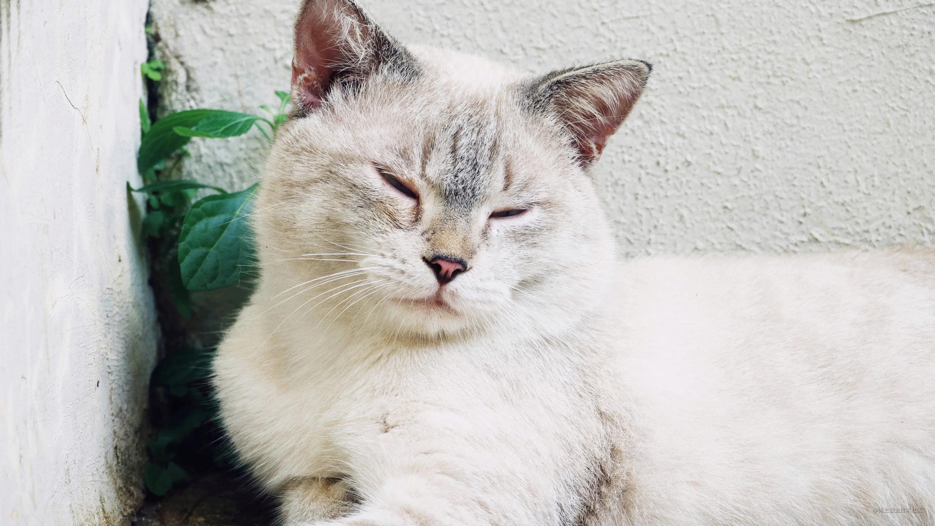 angular源码解析,angular教学视频全集