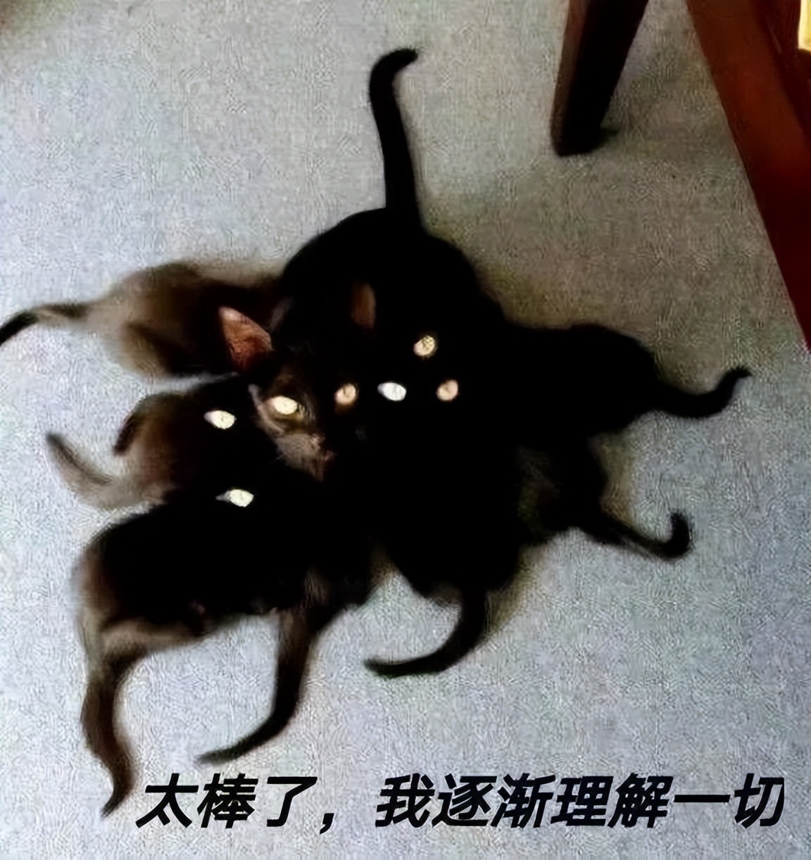 涓嶈閽辩殑鍝斿摡鍝斿摡浼氬憳,涓嶈閽辩殑鍝斿摡鍝斿摡