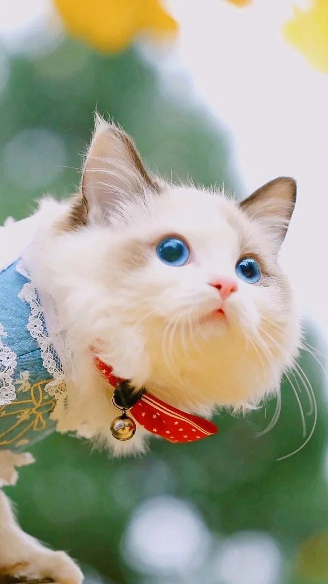 女生个性签名文案,渣男个性签名文案