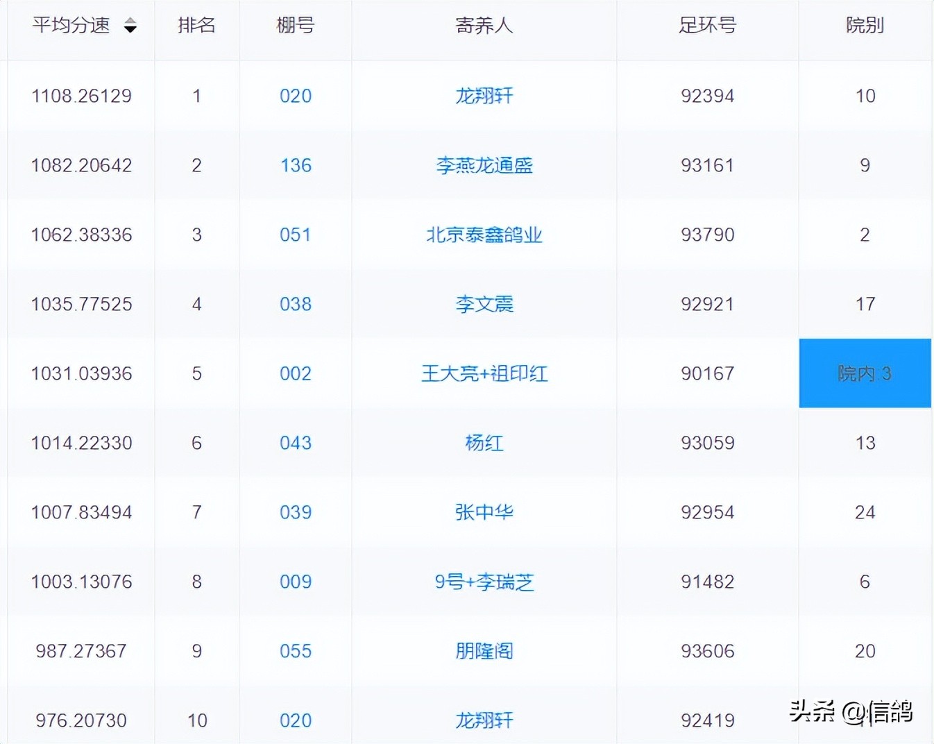 铁鹰第四关赛事直播,铁鹰四关飞翔