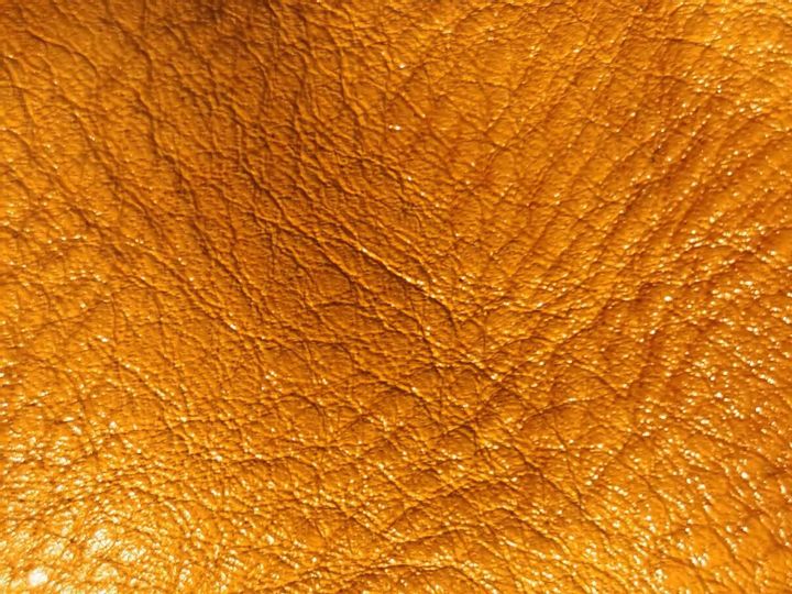 皮料鉴定的最好方法,皮具牛皮怎么选