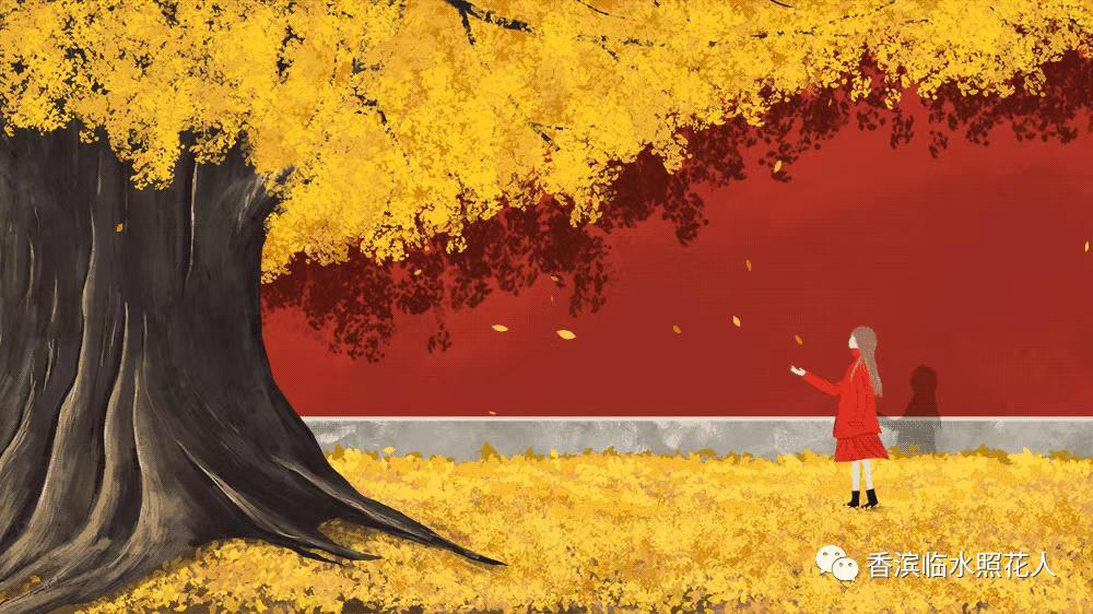 奋斗成就梦想作文500字以上,奋斗成就梦想初中作文