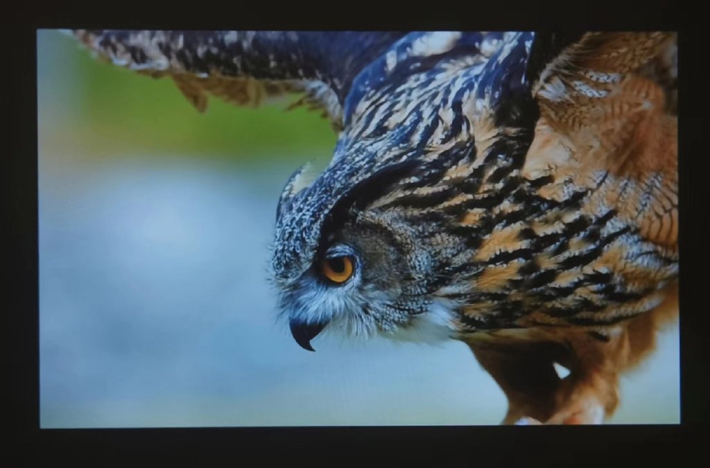 千元投影仪只投影,投影仪有什么好玩法