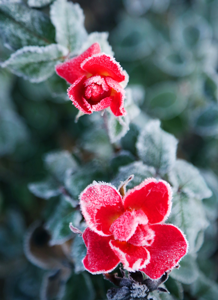 人生在世的经典美文,人生在世最美的美文