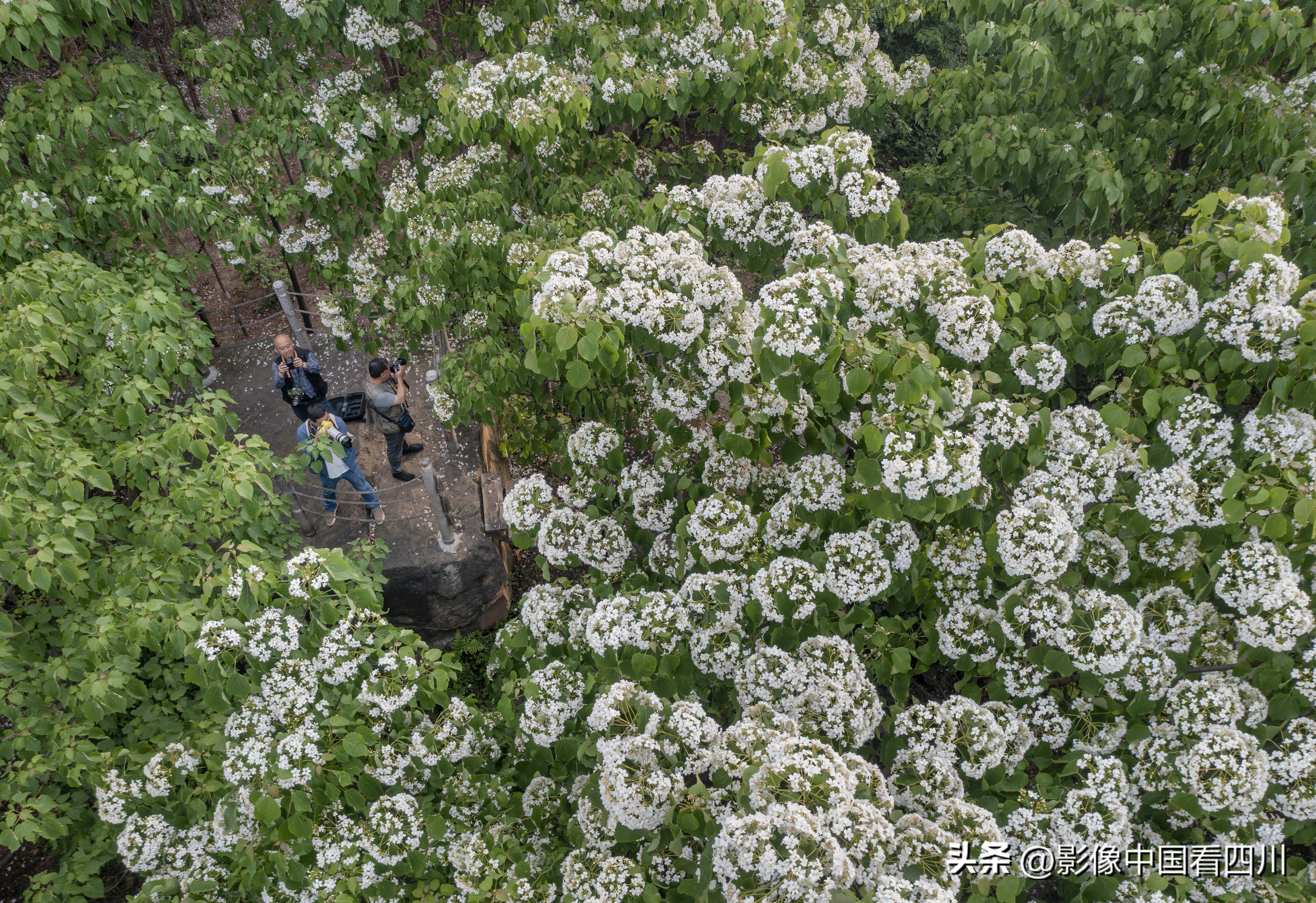 刘国兴的2022年:冬去春来,愿岁月静好(上集)