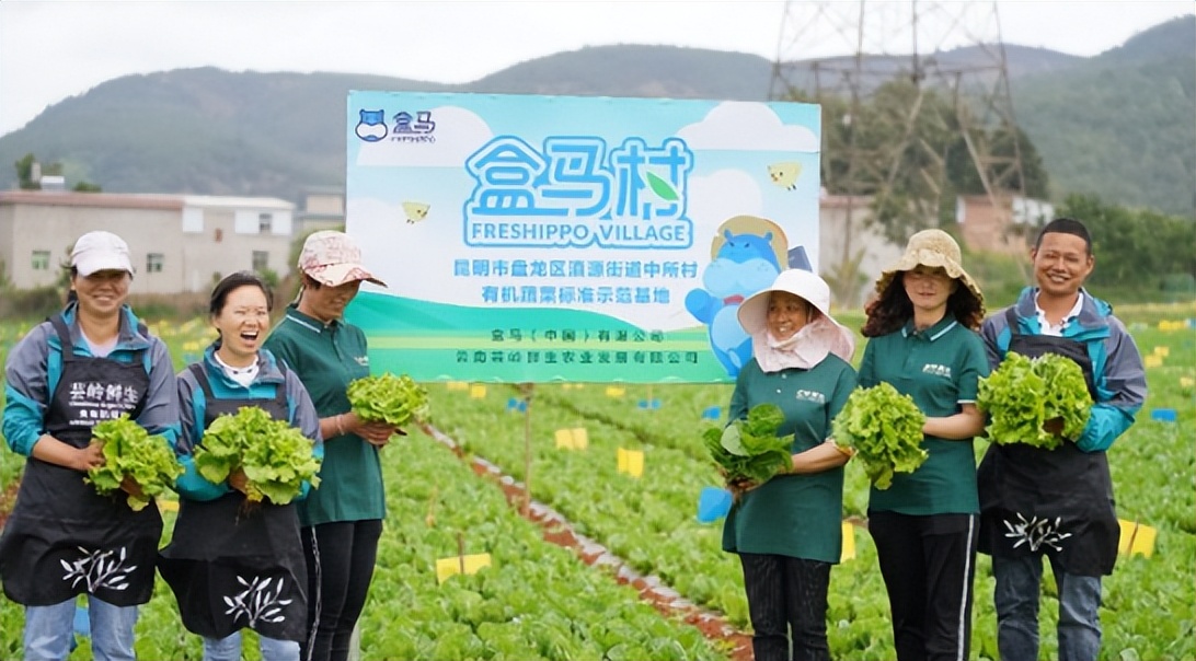 乡村振兴新模式：乡贤共享农田；盒马探索农业可持续发展