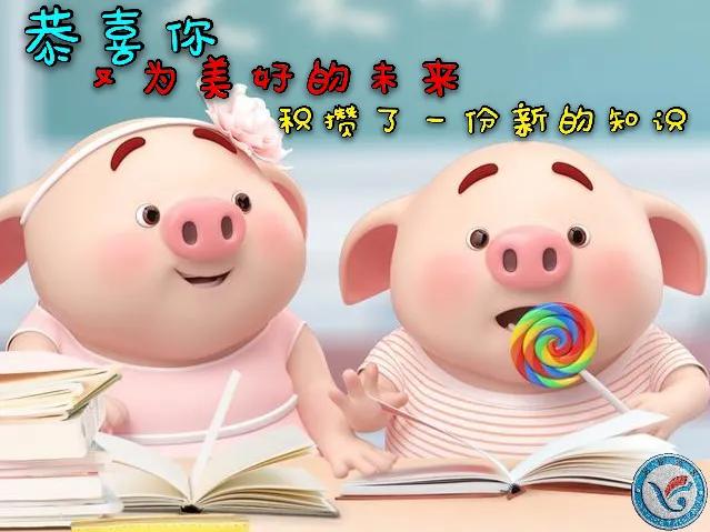 拖延青年的福音《终结拖延症》