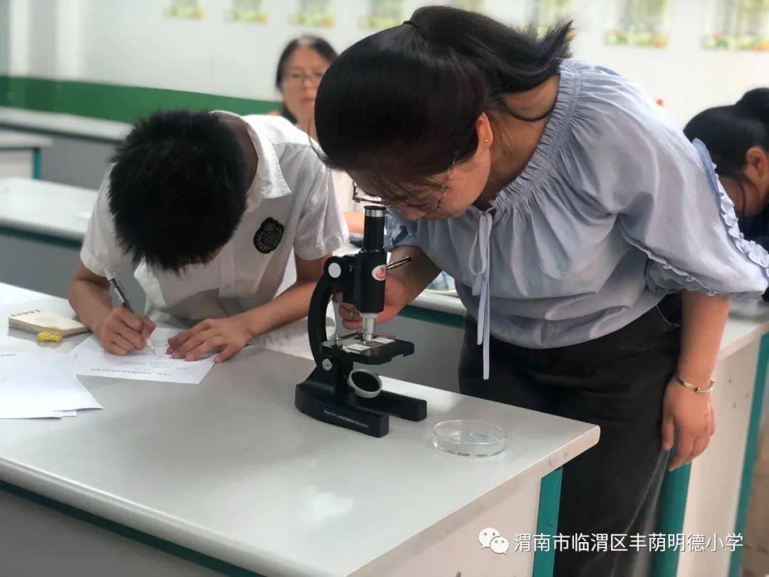 童心探索科学实验,童心探科学逐梦创未来一等奖