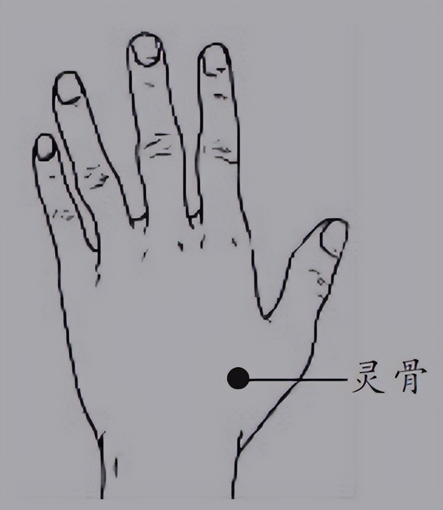 灵骨穴的原理及针法,董氏灵骨大白穴的准确位置图