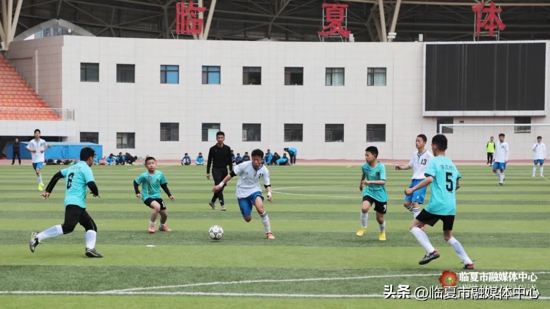 临夏牡丹杯小学篮球比赛,甘肃省临夏市牡丹杯篮球联赛