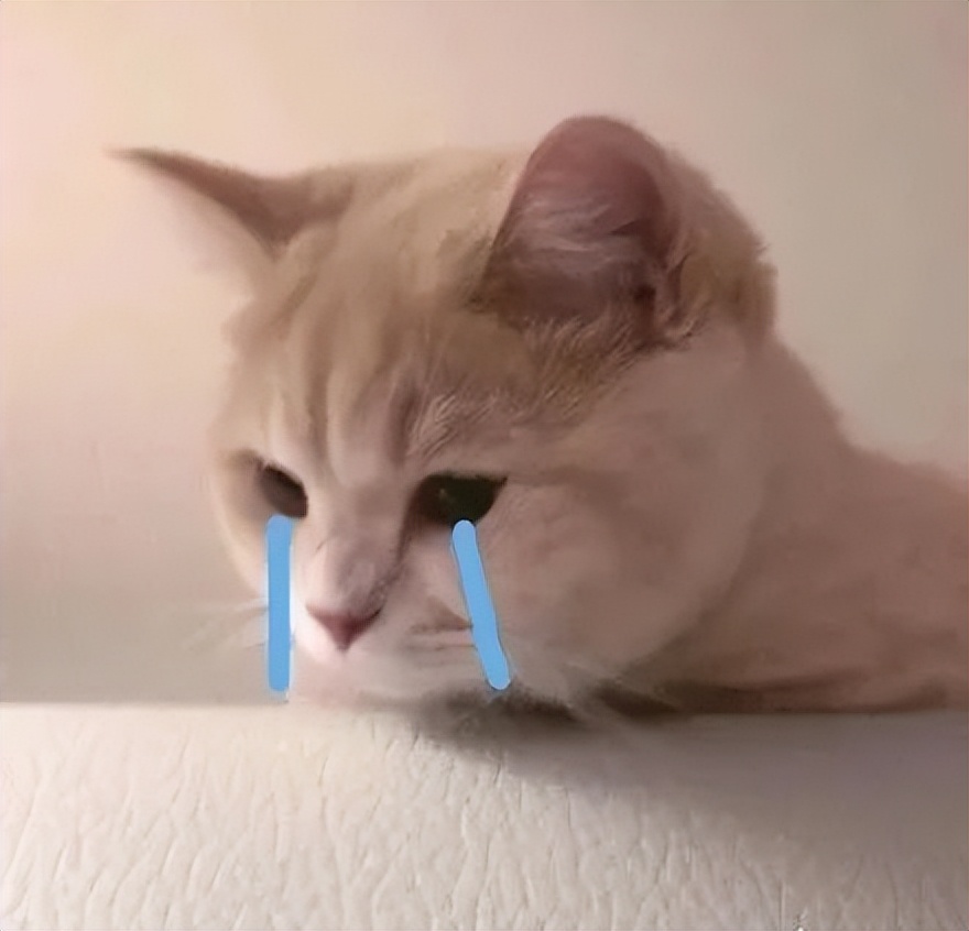 usaco竞赛2024考试时间,usaco信息学奥赛报名