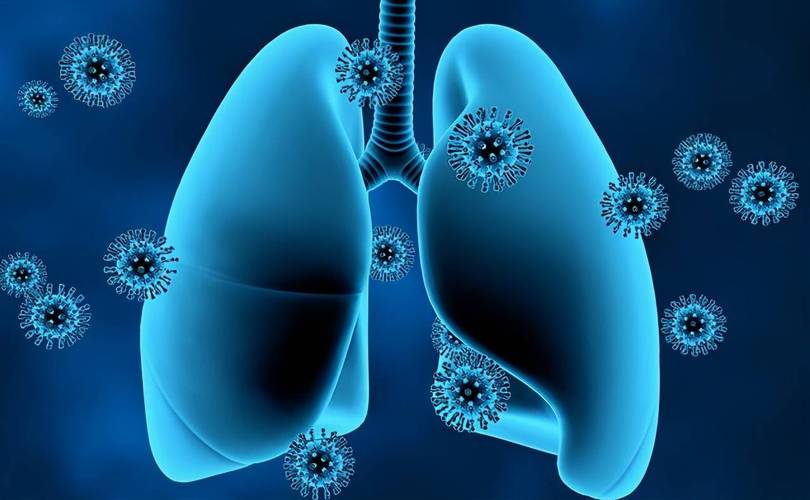 风热感冒中药银翘散,风热感冒的治疗方法藿香正气水