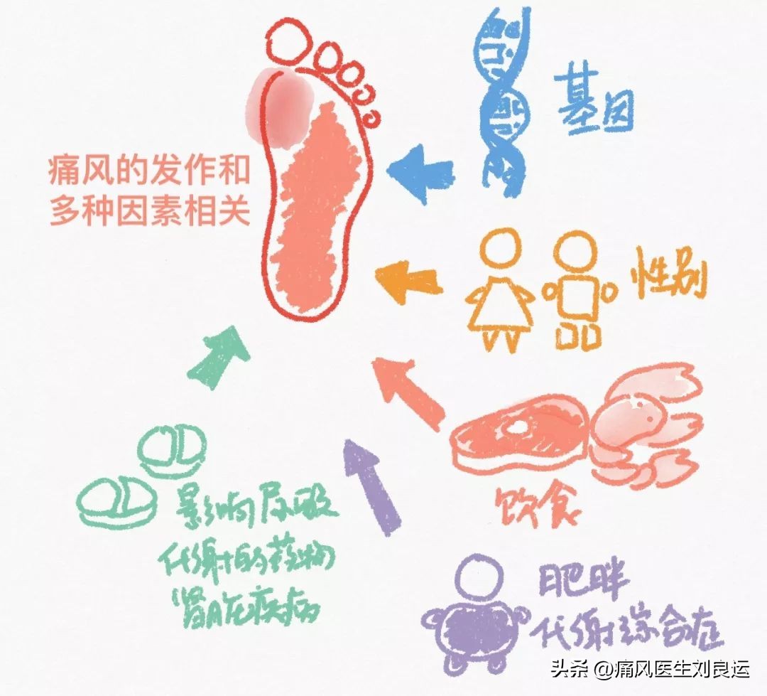 痛风备孕能吃什么药,高尿酸吃药期间能备孕吗