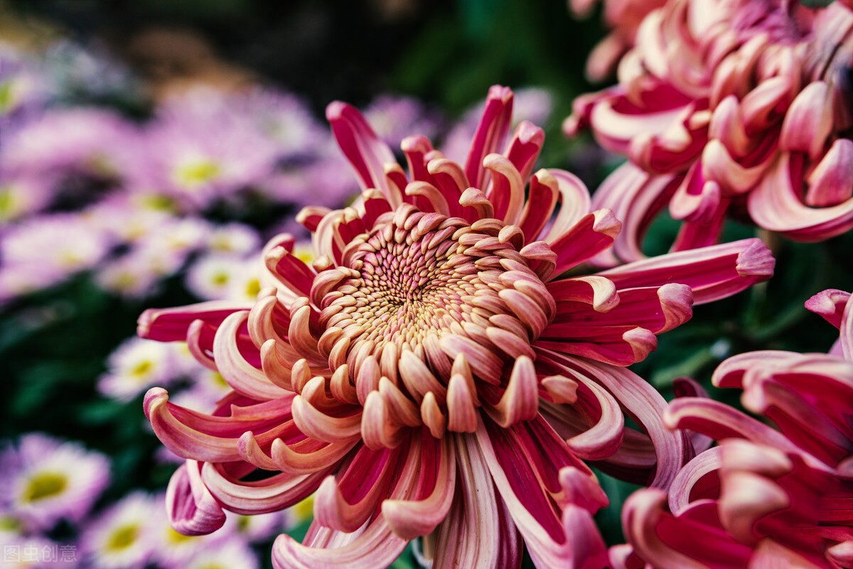 郭进栓汝州,郭进栓