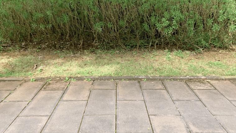 简约有范儿地平线8号行李箱,地平线八号行李箱推荐