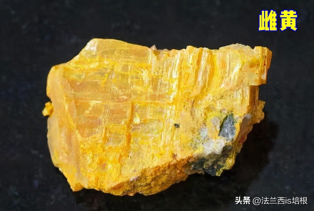 牛尿“染黄”的月亮，挂在梵高《星空》上，揭开罕见黄色颜料之谜