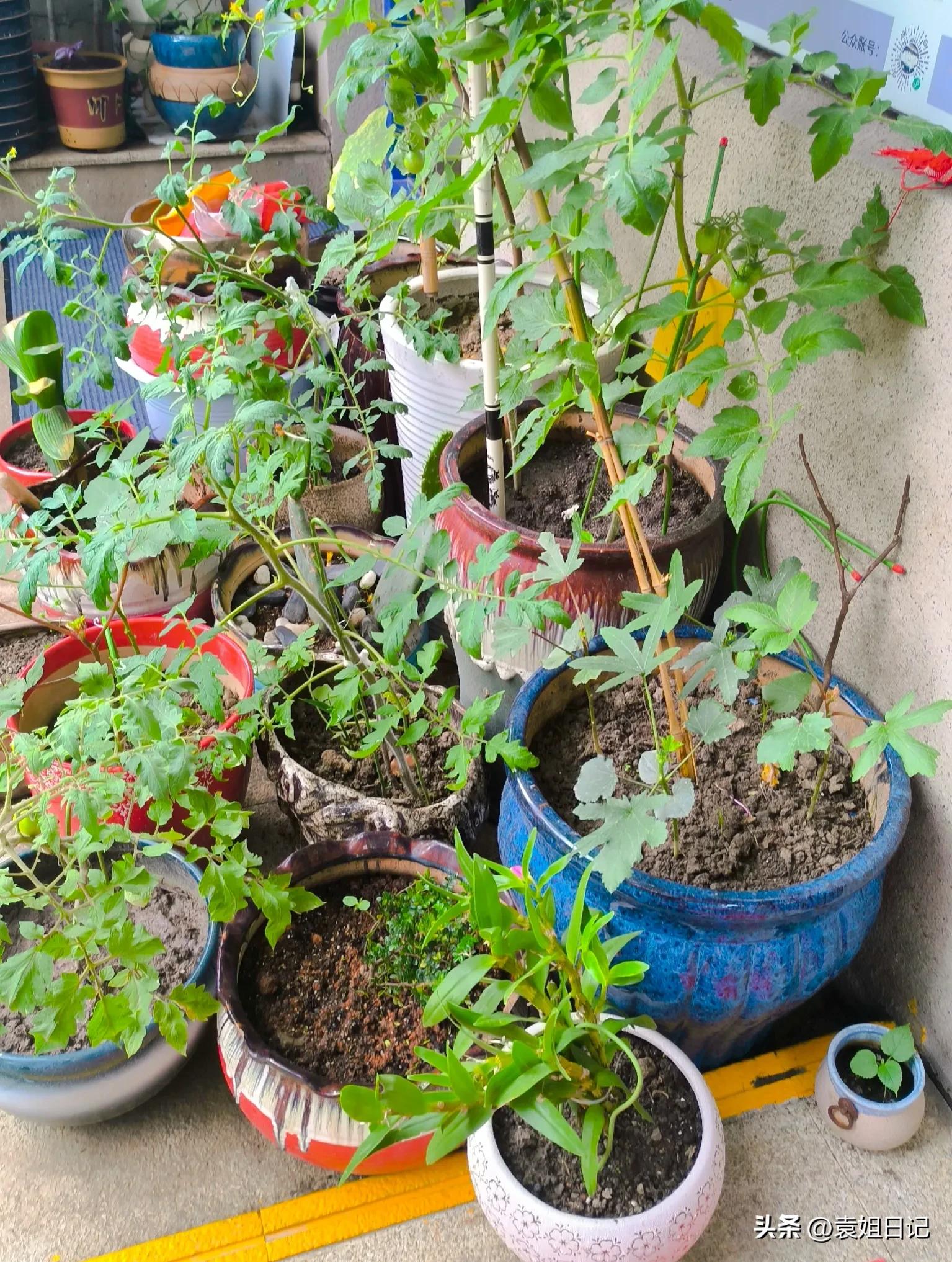 琚佸鐢熸椿鏃ヨ,琚佸鏃ヨ