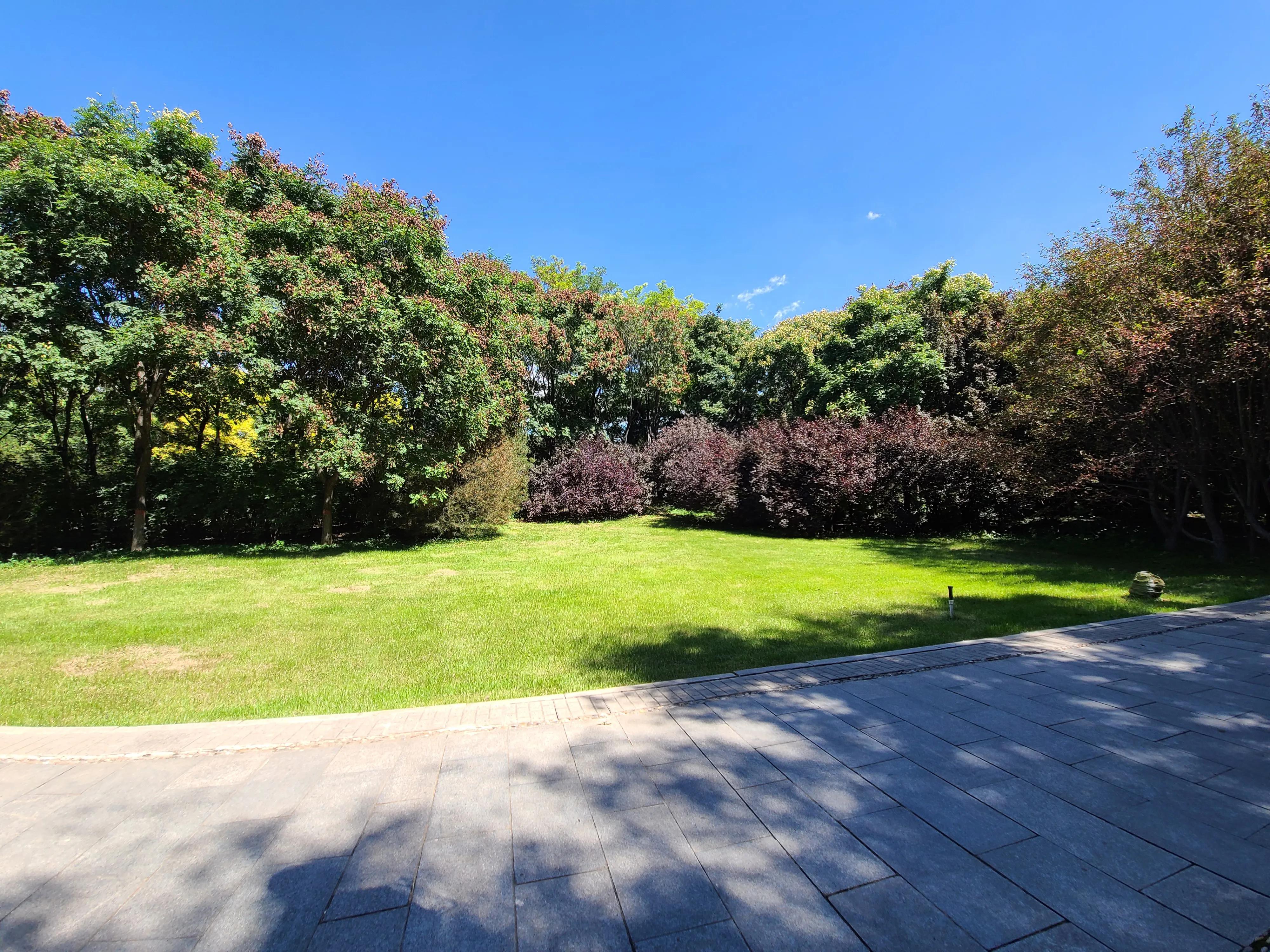 三星s20ultra拍照效果图,三星note20ultra前置摄像头