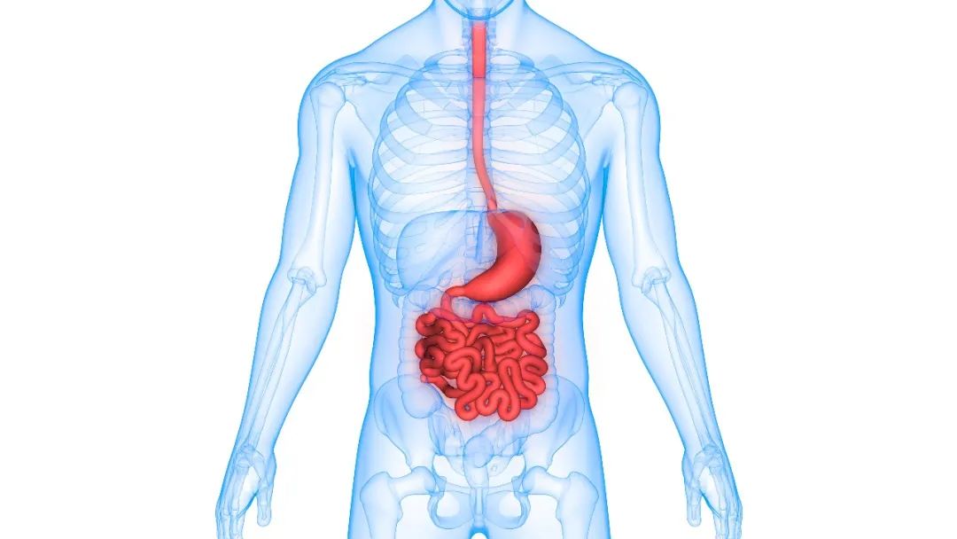 喝一口矿泉水就死亡后续,喝了一口矿泉水之后难受怎么办