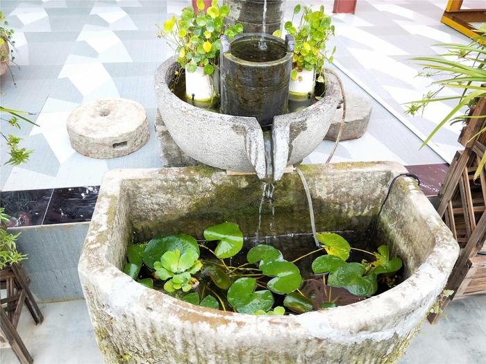 90后小伙回农场投资百万种果园,70后大叔创造奇迹种地赚100万