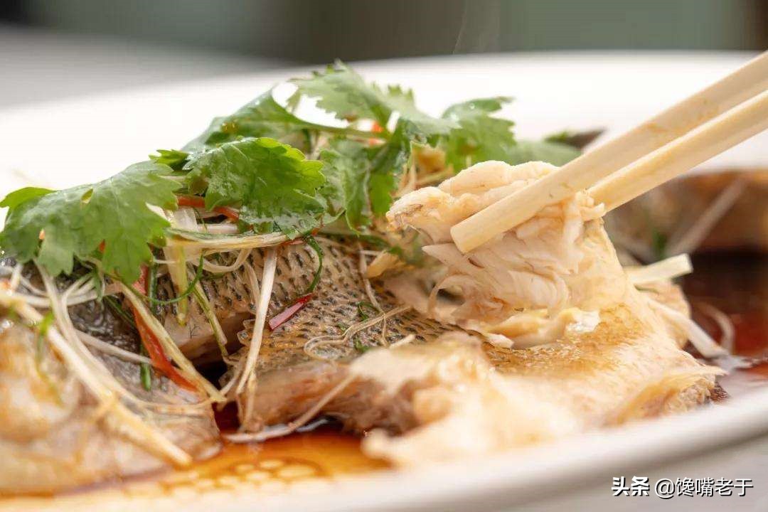 买鲈鱼肚子大的好还是小的好啊,买鲈鱼公的好还是母的好