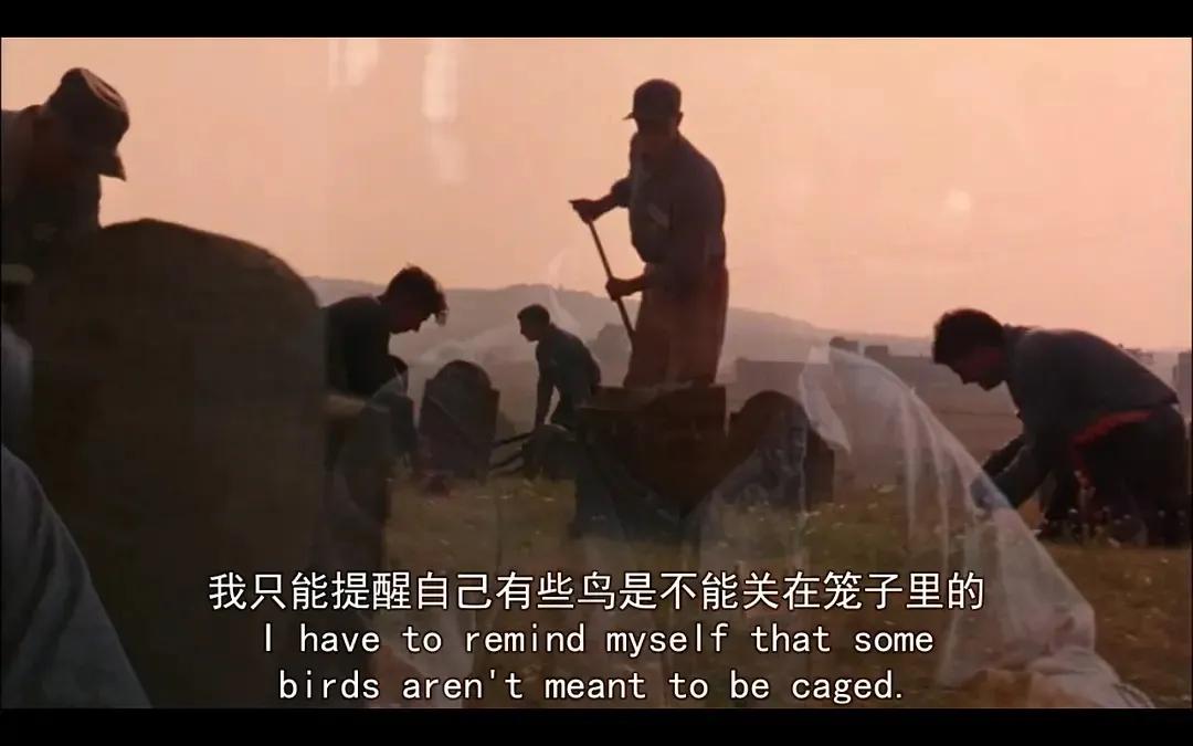 8部电影中的让人深思的经典台词,每一部电影都有几句经典台词