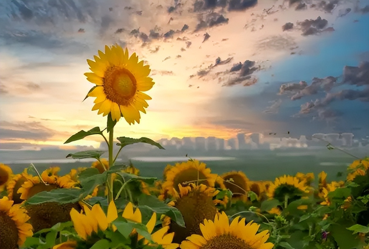 命里出现这四种说明老天爷在渡你,老天要渡你命里会有三种迹象