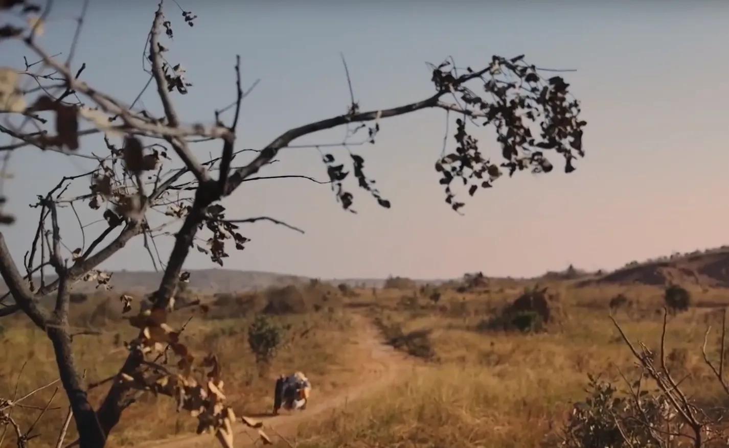 一直以为黑人穷是因为懒，真正了解后才发现，原来是自己太幸运