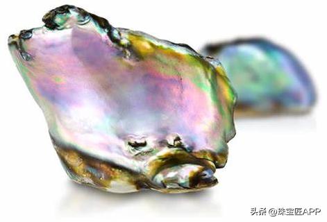 烧烤鲍鱼成品,鲍鱼里面也有珍珠