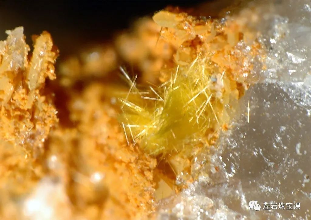 左岩的简介,左岩的最新图片