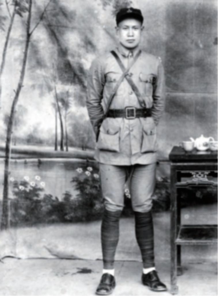 黑狸虎王兆相,黑狐王被小虎拿石头砸死