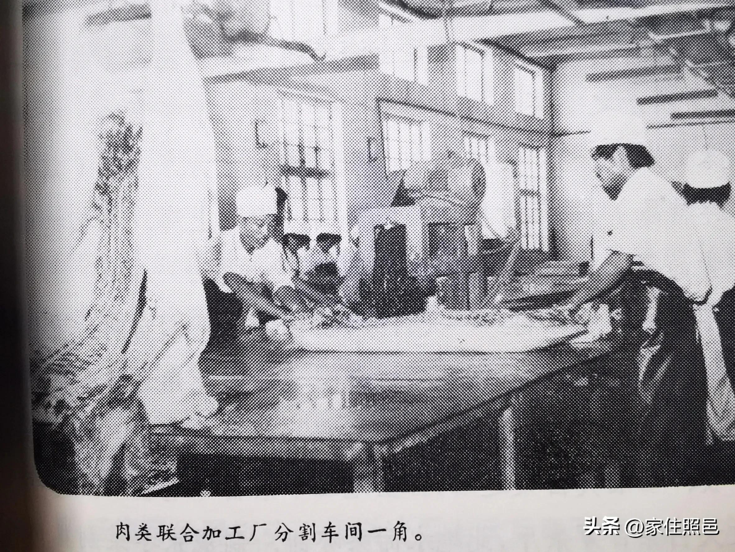 日照有什么好玩的地方,日照绿茶价格表