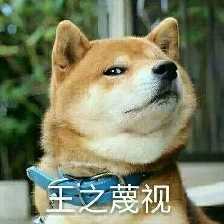 小醋精吃醋,小醋精知乎后续