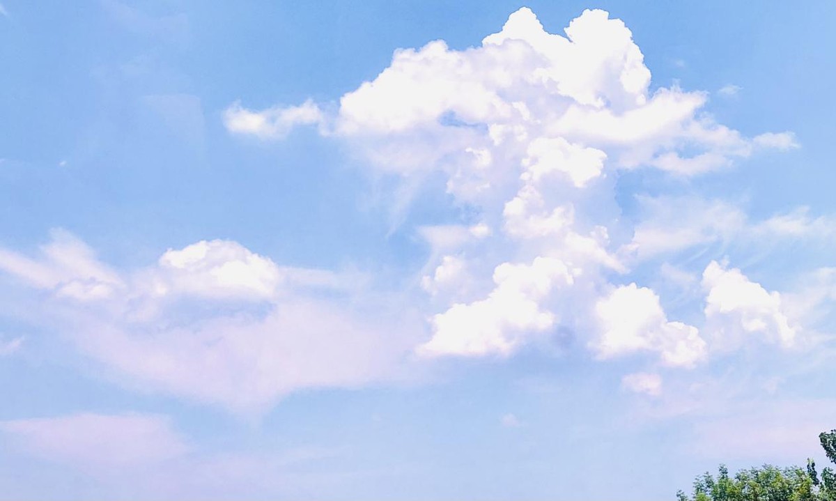 蜗居28年农村画家,农民蜗居画画28年老婆大哭