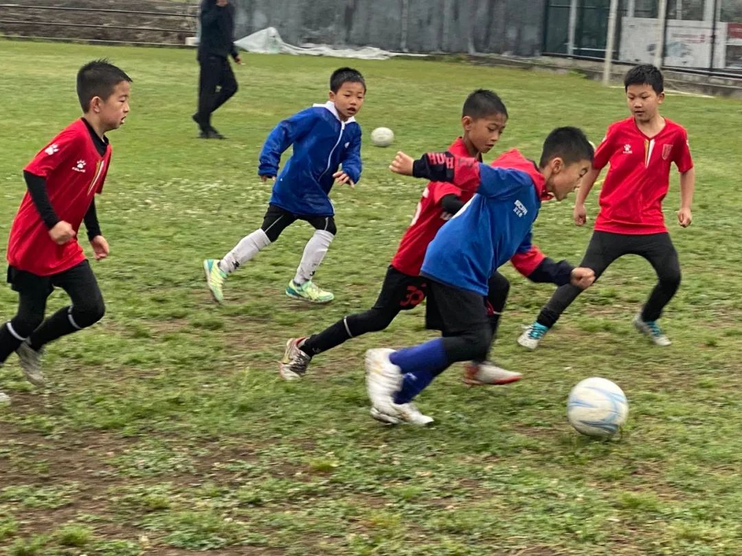 麒志,2023麒志杯采访